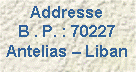 Text Box: Addresse
B . P. : 70227 Antelias  Liban 